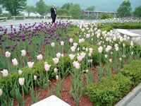DSCF0005_JPG