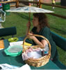 Winner of Best Wolfe Picnic Basket -- Khadi