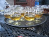 Beer Samples at Mugs Ale House
