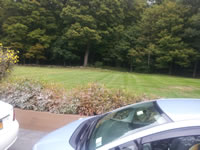 Part of the lawn