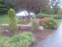 The lawn